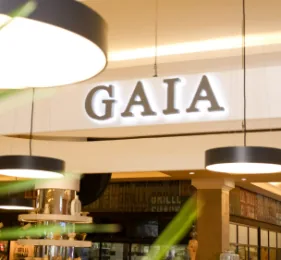 Gaia